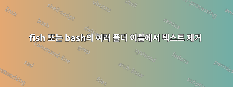 fish 또는 bash의 여러 폴더 이름에서 텍스트 제거