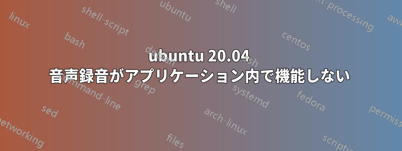 ubuntu 20.04 音声録音がアプリケーション内で機能しない