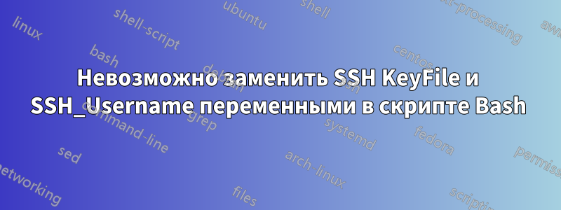 Невозможно заменить SSH KeyFile и SSH_Username переменными в скрипте Bash