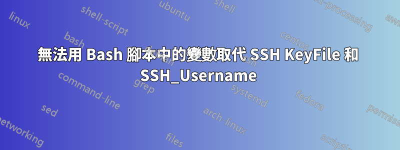 無法用 Bash 腳本中的變數取代 SSH KeyFile 和 SSH_Username