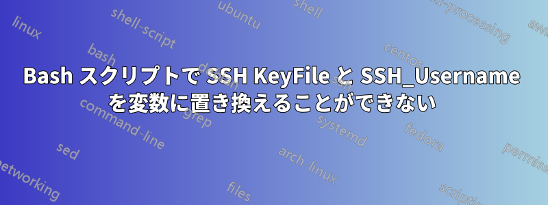 Bash スクリプトで SSH KeyFile と SSH_Username を変数に置き換えることができない