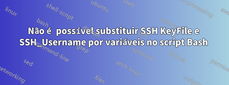 Não é possível substituir SSH KeyFile e SSH_Username por variáveis ​​no script Bash