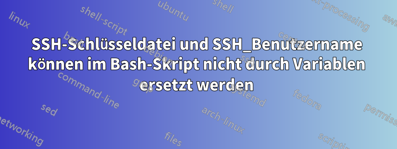 SSH-Schlüsseldatei und SSH_Benutzername können im Bash-Skript nicht durch Variablen ersetzt werden