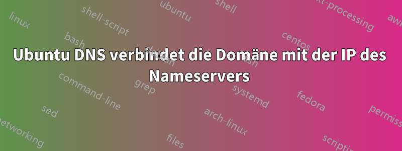 Ubuntu DNS verbindet die Domäne mit der IP des Nameservers