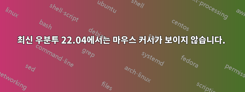 최신 우분투 22.04에서는 마우스 커서가 보이지 않습니다.