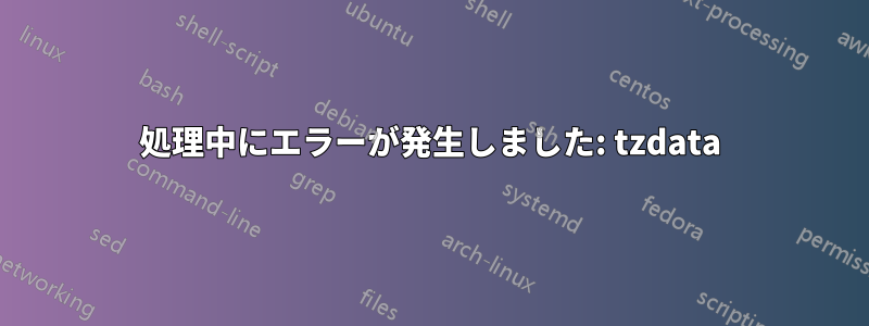 処理中にエラーが発生しました: tzdata