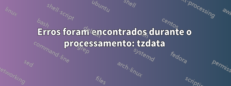 Erros foram encontrados durante o processamento: tzdata