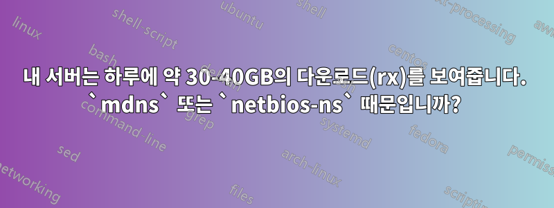 내 서버는 하루에 약 30-40GB의 다운로드(rx)를 보여줍니다. `mdns` 또는 `netbios-ns` 때문입니까?