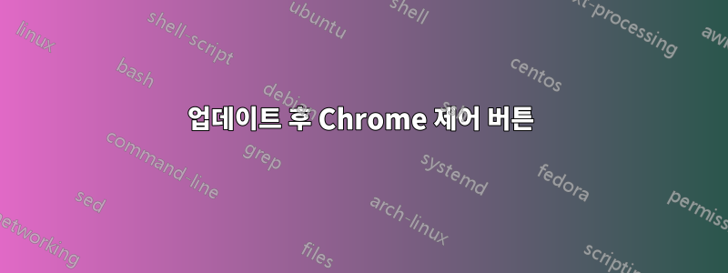 업데이트 후 Chrome 제어 버튼