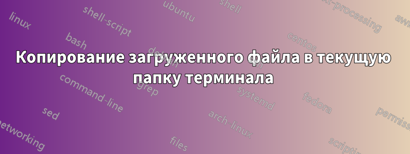 Копирование загруженного файла в текущую папку терминала