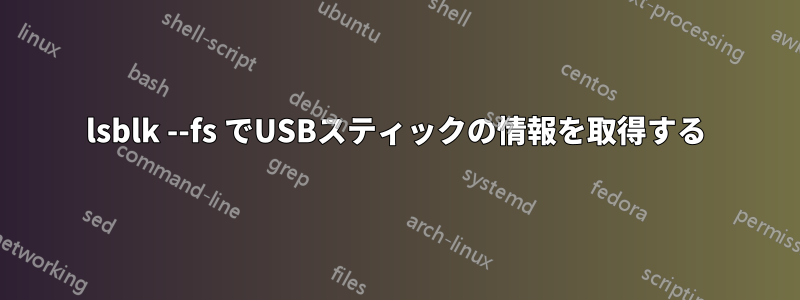 lsblk --fs でUSBスティックの情報を取得する