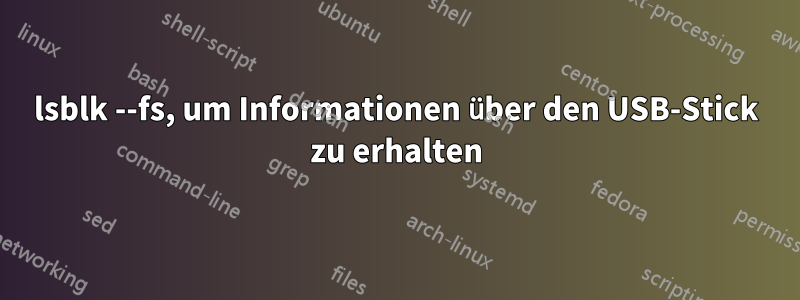 lsblk --fs, um Informationen über den USB-Stick zu erhalten