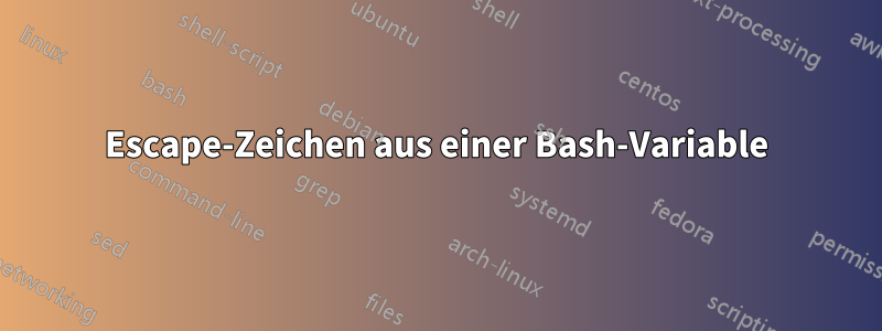 Escape-Zeichen aus einer Bash-Variable