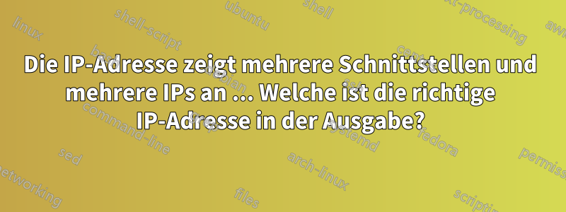 Die IP-Adresse zeigt mehrere Schnittstellen und mehrere IPs an ... Welche ist die richtige IP-Adresse in der Ausgabe?