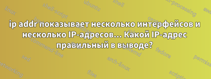 ip addr показывает несколько интерфейсов и несколько IP-адресов... Какой IP-адрес правильный в выводе?