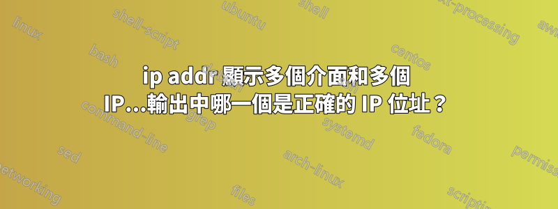 ip addr 顯示多個介面和多個 IP...輸出中哪一個是正確的 IP 位址？