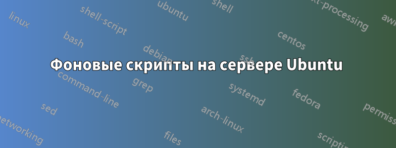 Фоновые скрипты на сервере Ubuntu