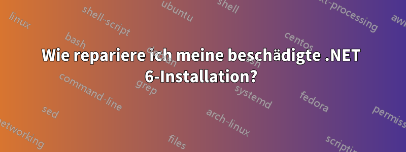 Wie repariere ich meine beschädigte .NET 6-Installation?