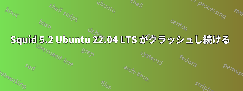 Squid 5.2 Ubuntu 22.04 LTS がクラッシュし続ける