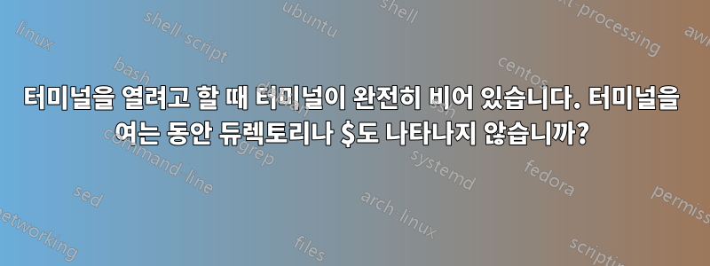 터미널을 열려고 할 때 터미널이 완전히 비어 있습니다. 터미널을 여는 동안 듀렉토리나 $도 나타나지 않습니까?