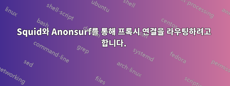 Squid와 Anonsurf를 통해 프록시 연결을 라우팅하려고 합니다.