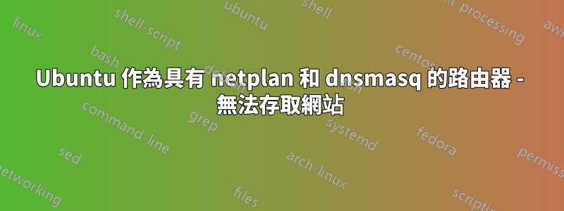 Ubuntu 作為具有 netplan 和 dnsmasq 的路由器 - 無法存取網站