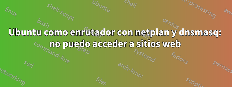 Ubuntu como enrutador con netplan y dnsmasq: no puedo acceder a sitios web