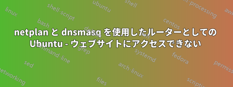 netplan と dnsmasq を使用したルーターとしての Ubuntu - ウェブサイトにアクセスできない