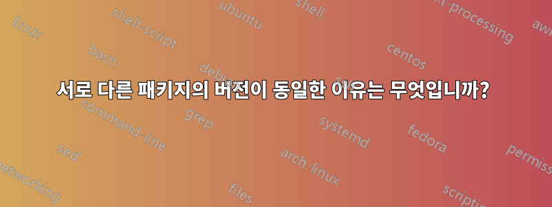 서로 다른 패키지의 버전이 동일한 이유는 무엇입니까?