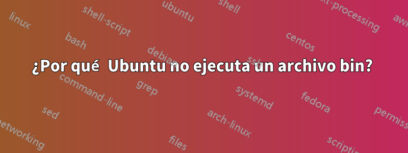 ¿Por qué Ubuntu no ejecuta un archivo bin?