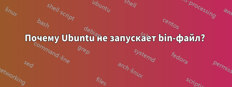 Почему Ubuntu не запускает bin-файл?