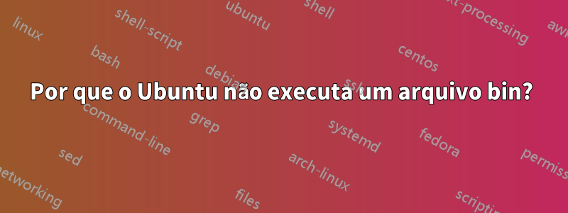 Por que o Ubuntu não executa um arquivo bin?