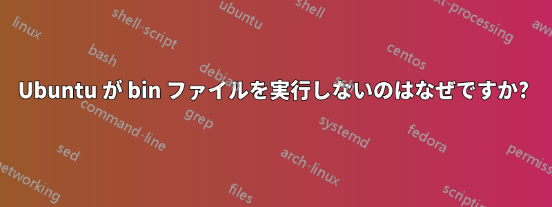 Ubuntu が bin ファイルを実行しないのはなぜですか?