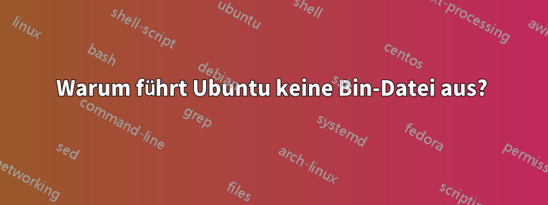 Warum führt Ubuntu keine Bin-Datei aus?