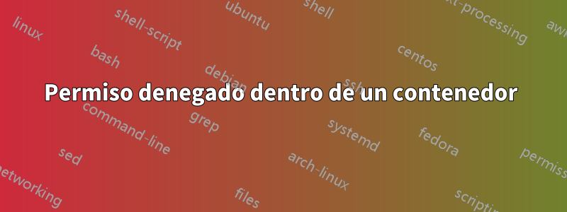 Permiso denegado dentro de un contenedor