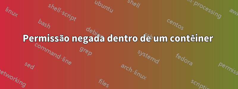 Permissão negada dentro de um contêiner