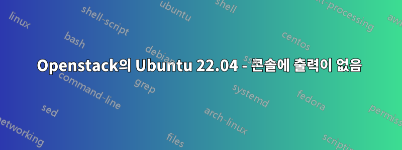 Openstack의 Ubuntu 22.04 - 콘솔에 출력이 없음