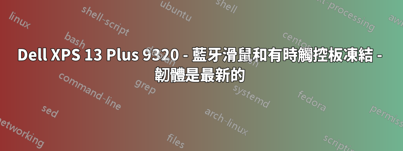 Dell XPS 13 Plus 9320 - 藍牙滑鼠和有時觸控板凍結 - 韌體是最新的