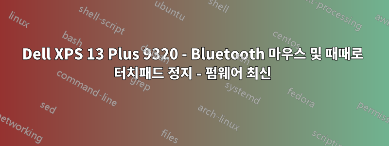 Dell XPS 13 Plus 9320 - Bluetooth 마우스 및 때때로 터치패드 정지 - 펌웨어 최신