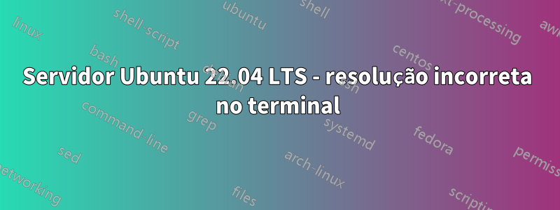 Servidor Ubuntu 22.04 LTS - resolução incorreta no terminal