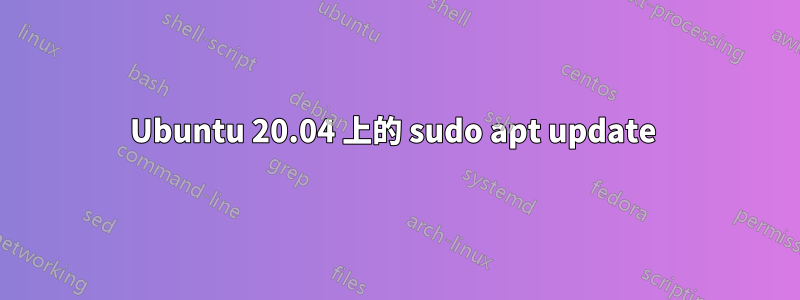 Ubuntu 20.04 上的 sudo apt update 