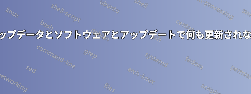 アップデータとソフトウェアとアップデートで何も更新されない 