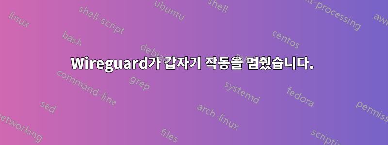 Wireguard가 갑자기 작동을 멈췄습니다.