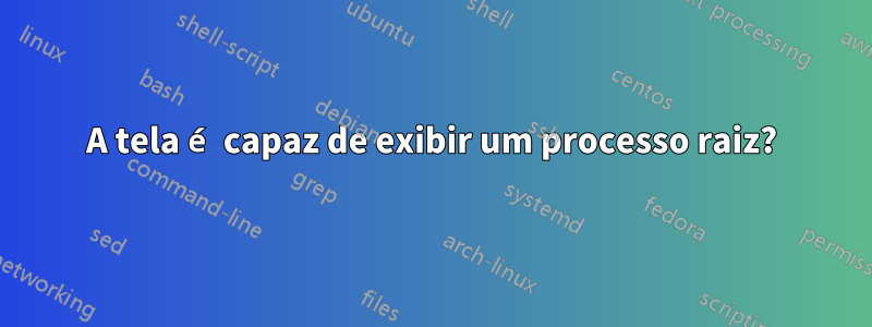 A tela é capaz de exibir um processo raiz?