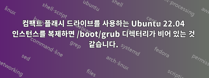 컴팩트 플래시 드라이브를 사용하는 Ubuntu 22.04 인스턴스를 복제하면 /boot/grub 디렉터리가 비어 있는 것 같습니다.