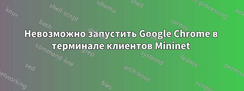 Невозможно запустить Google Chrome в терминале клиентов Mininet