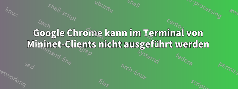 Google Chrome kann im Terminal von Mininet-Clients nicht ausgeführt werden