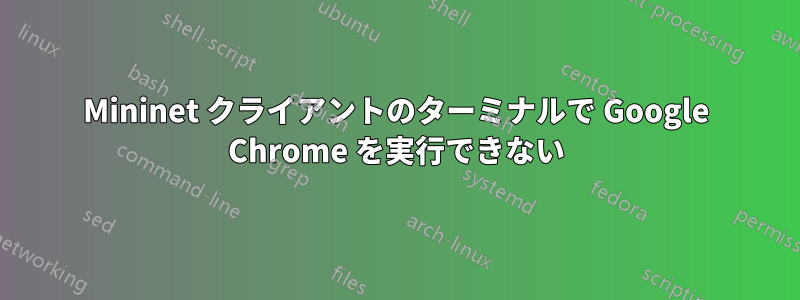 Mininet クライアントのターミナルで Google Chrome を実行できない