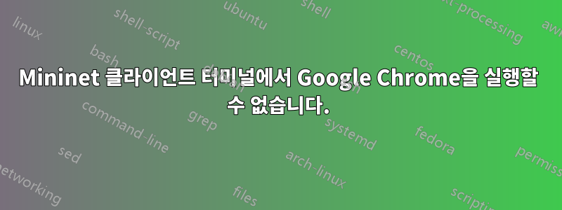 Mininet 클라이언트 터미널에서 Google Chrome을 실행할 수 없습니다.