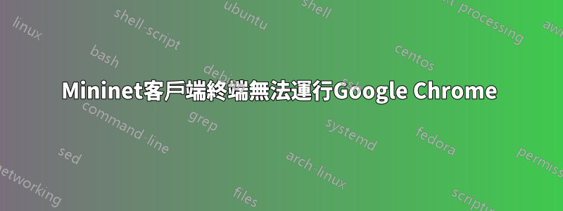 Mininet客戶端終端無法運行Google Chrome